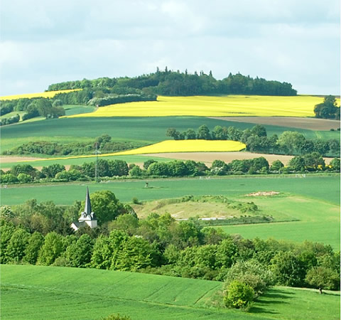 Galleriebild 1 Galleriebild 1